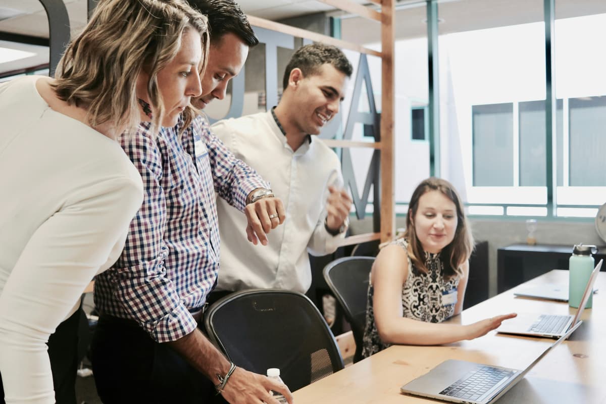 System administrators and technical support
